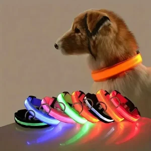 LED Nylon Glow Dog Leash & Collar